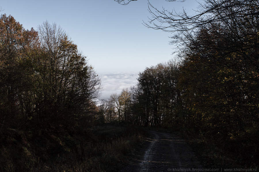 Фото: Николай Хижняк