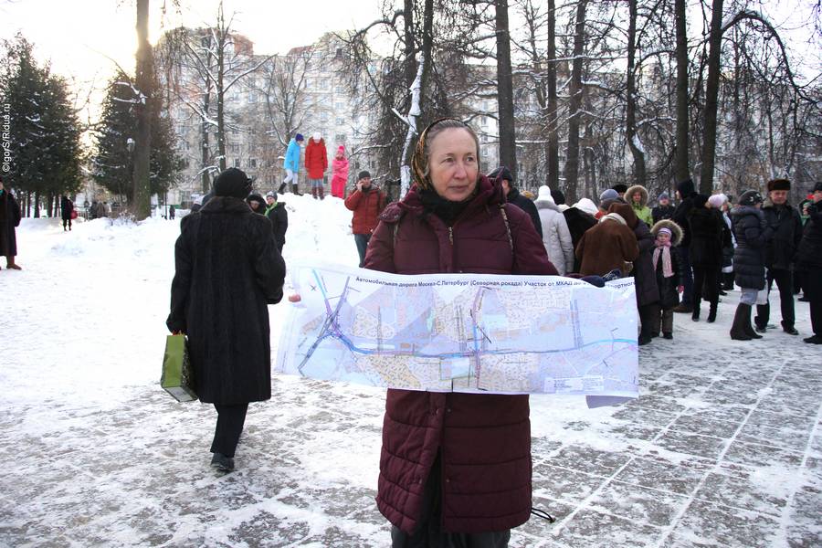 Митинг против строительства Северо-Восточной хорды