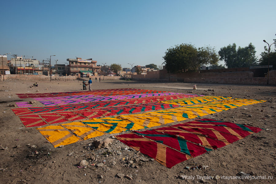 Big laundry, Jodhpur, India