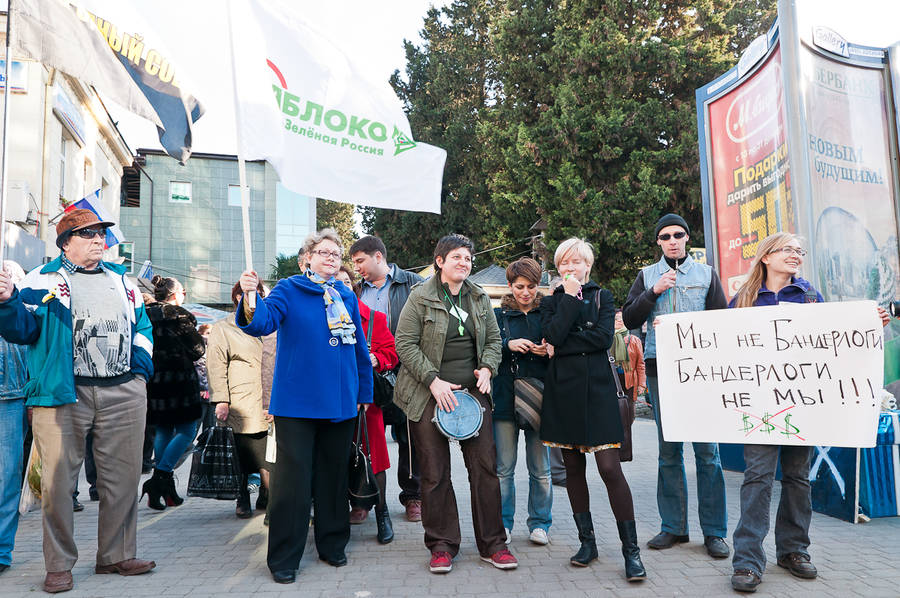 Пикет «Сочи — за Честные выборы». 17 декабря 2011 года, Сочи. © Евгений Реутов.