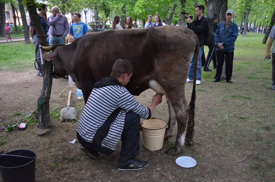 © Роман Капралов для Ridus.ru 