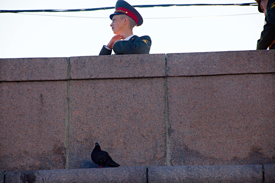 Голубь смотрит недовольно, свирепо и в то же время грустно и с недоумением.