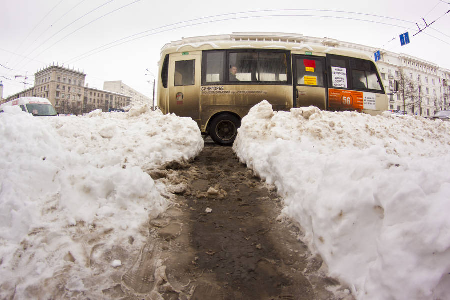 дорожка (три метра) от тротуара до двери маршрутного такси