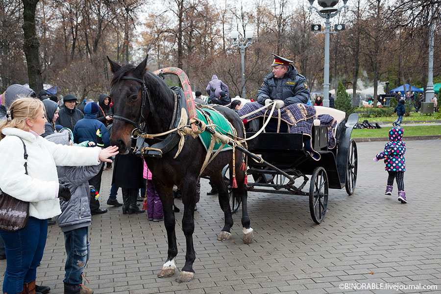 День московской полиции в Лужниках ©binorable.livejournal.com