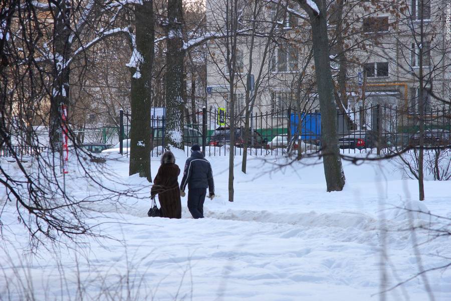 Митинг против строительства Северо-Восточной хорды