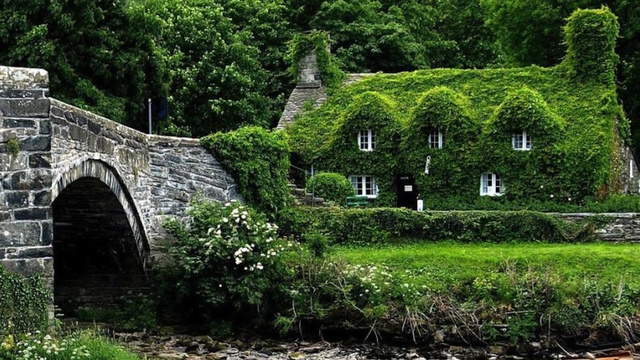 The Most Colorful Houses Engulfed in Vegetation