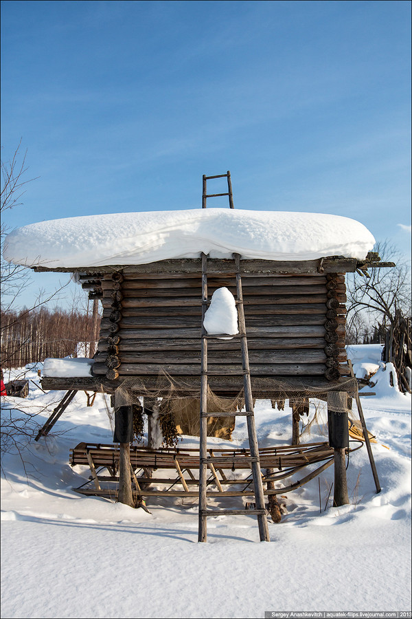 Избушка на курьих ножках