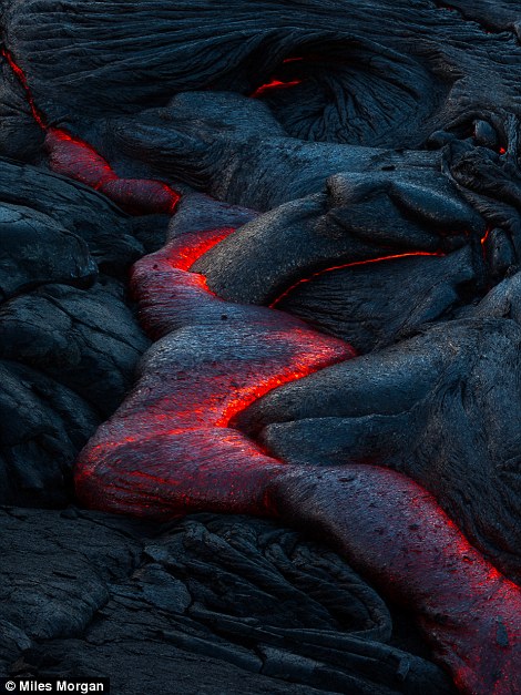 A surface breakout from the Kilauea Volcano forms like a snake near Kalapana