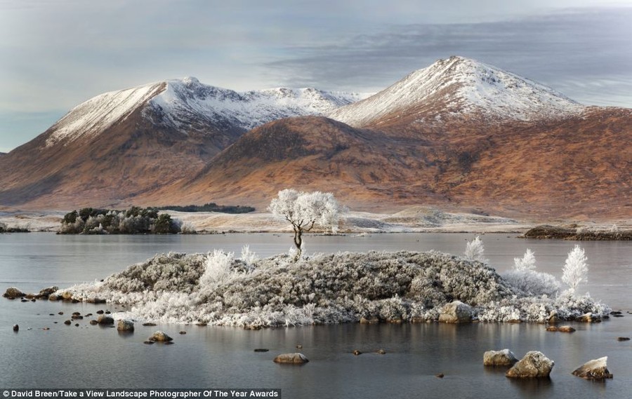 Winter scene: This image, titled 'Ghost of Rannoch Moor', was taken by David Breen at the edge of Loch Rannoch in Scotland 