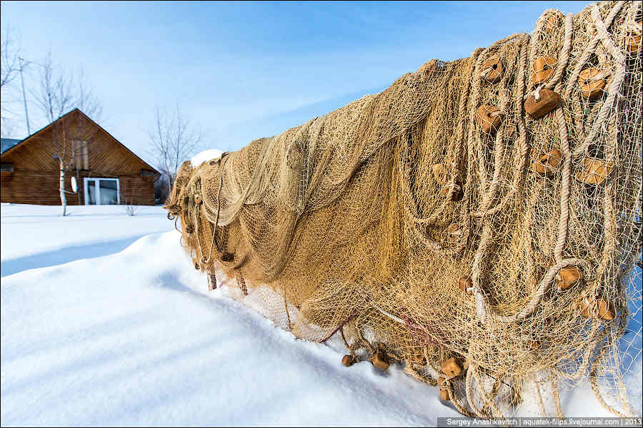 Избушка на курьих ножках