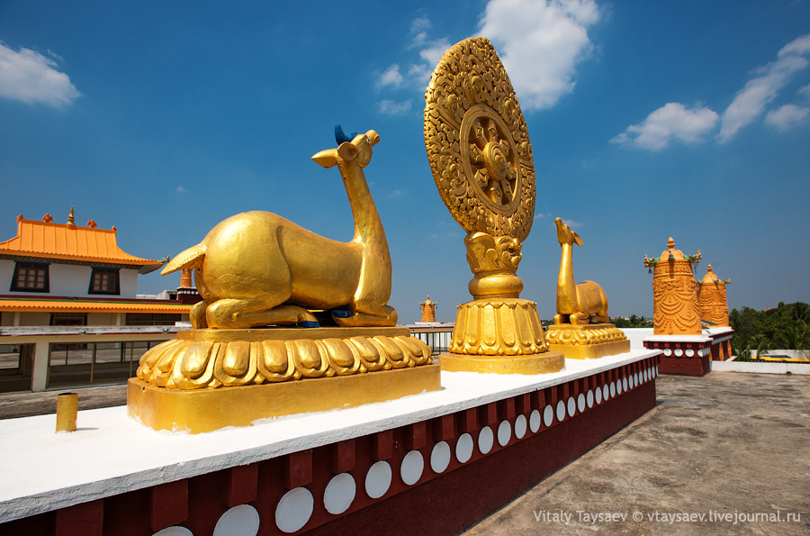 On the roof of Tibetan Temple