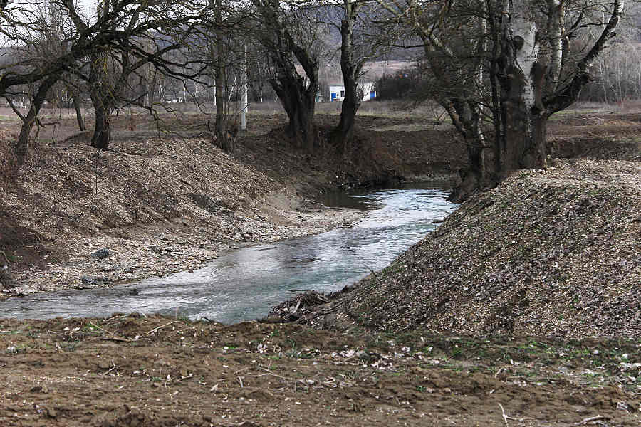 Очищенное русло реки © Никита Перфильев