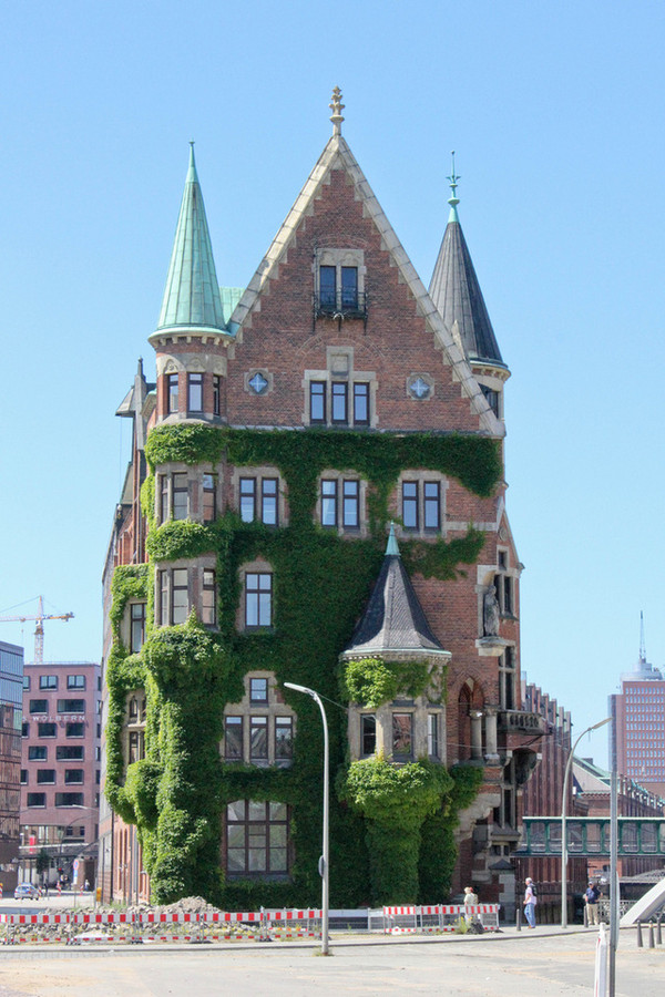 The Most Colorful Houses Engulfed in Vegetation