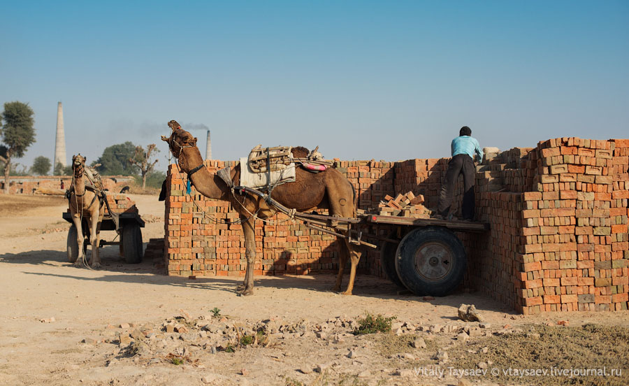 Brick factory, Rajhastan