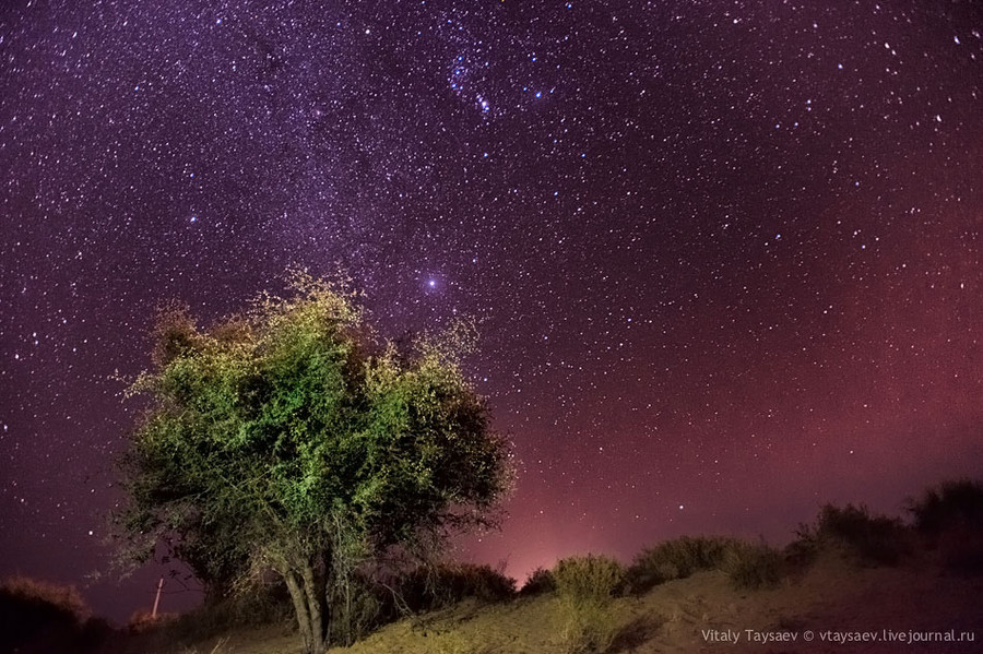 Starnight over Tar desert, W.India