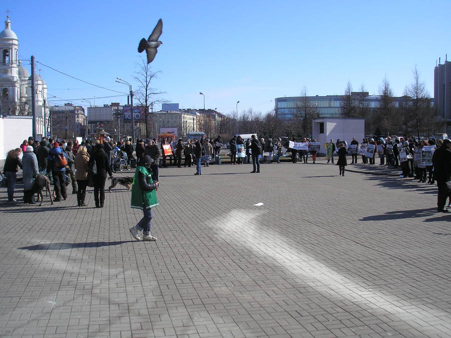 31.03.2012 у ДС 