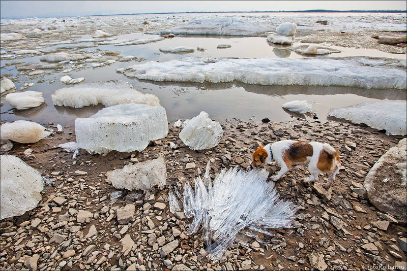 © Александр Колбин kolbasin.livejournal.com