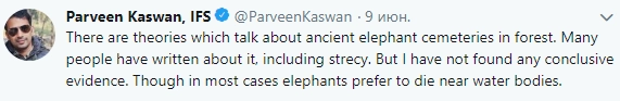 "Есть теории о древних кладбищах слонов в лесу. О них писали многие, но я не нашел убедительных доказательств. Хотя часто слоны умирают вблизи источников воды".
