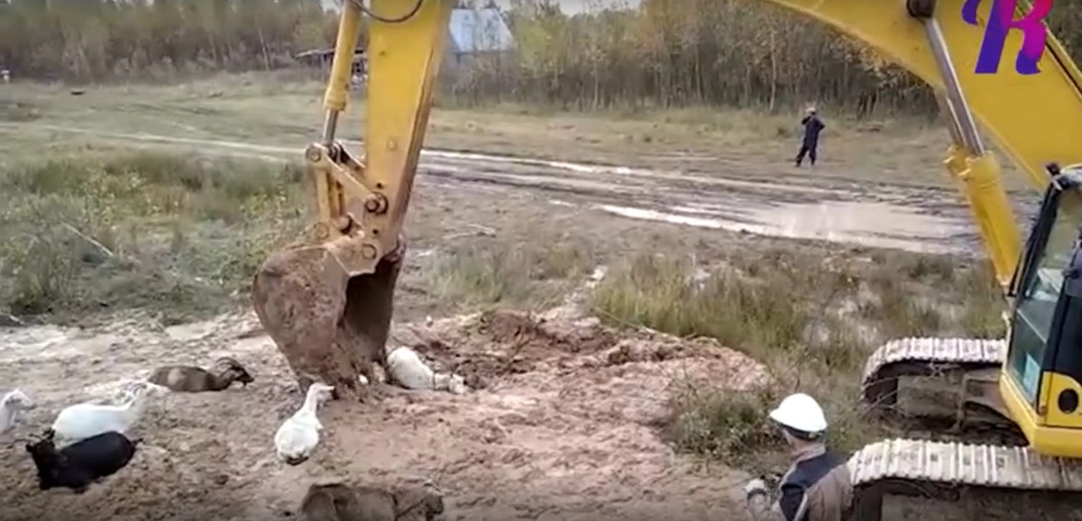 "Газпром" уже приступил к строительным работам