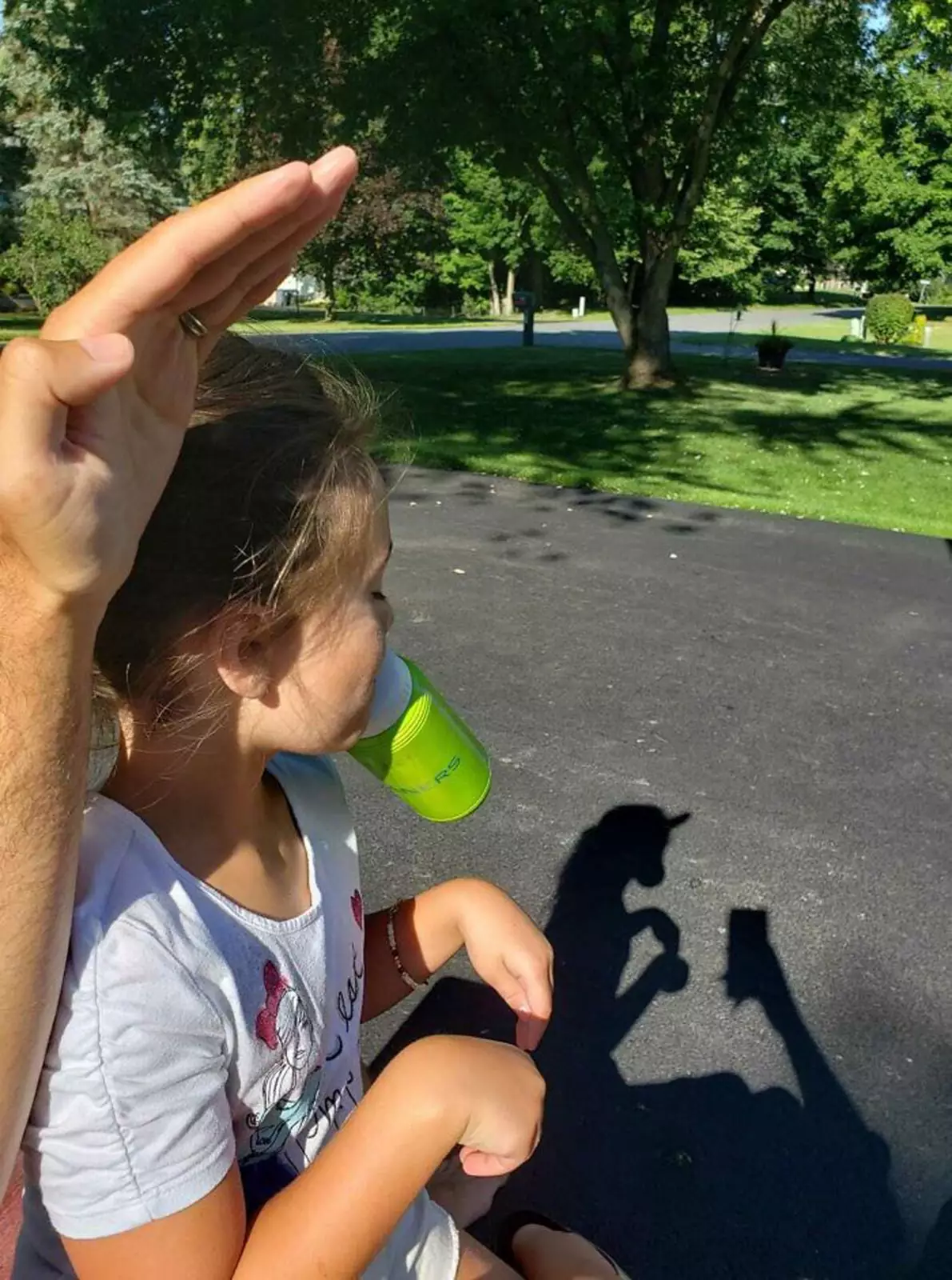 В Шотландии даже тени в фирменном стиле. 