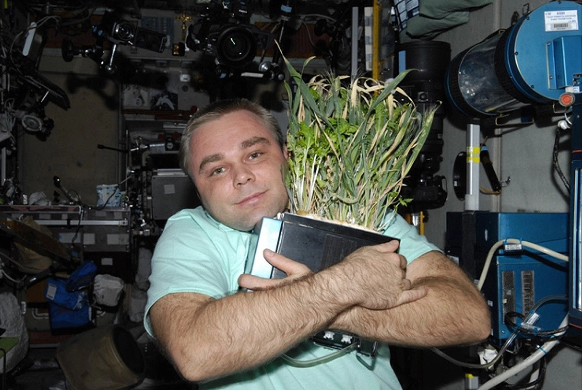 Летчик-космонавт Максим Сураев вырастил растение на МКС. 