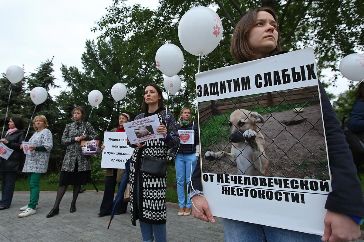 Митинг зоозащитников на площади Яузские Ворота против жестокости в приютах для бездомных животных