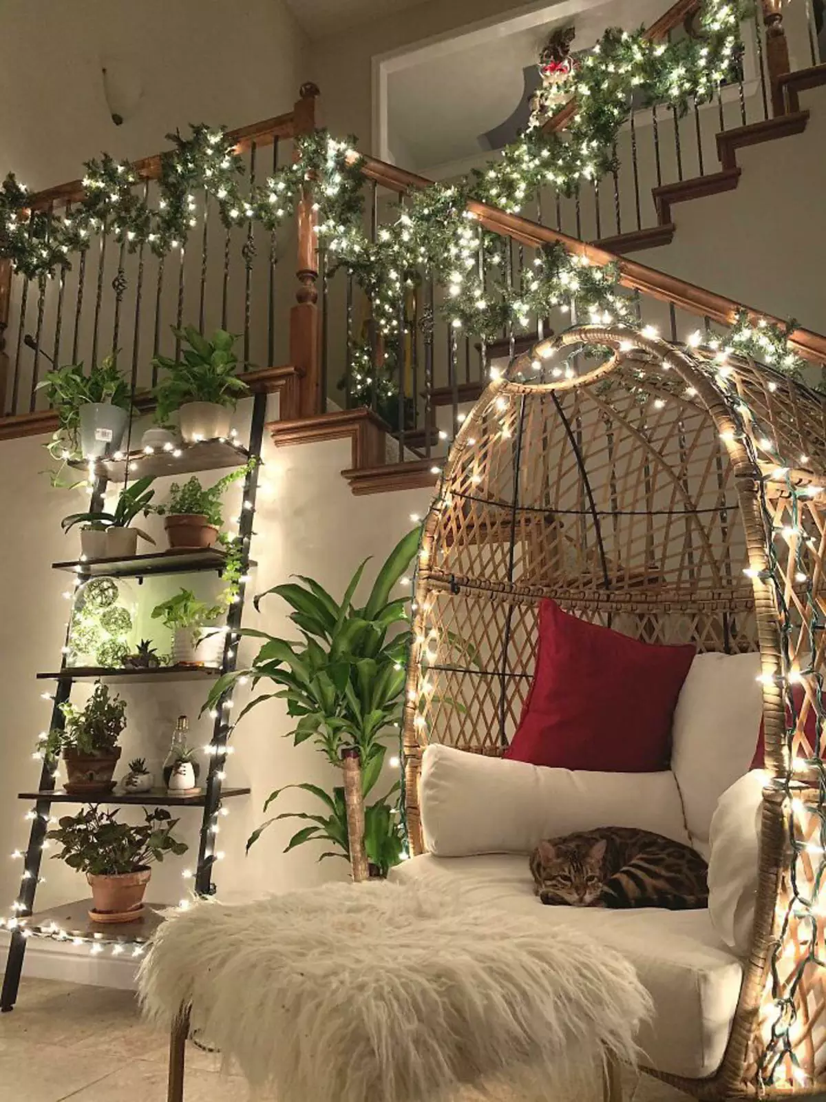 «Отказалась от елки из-за этого мехового дуралея». «Отказалась от елки из-за этого мехового дуралея».