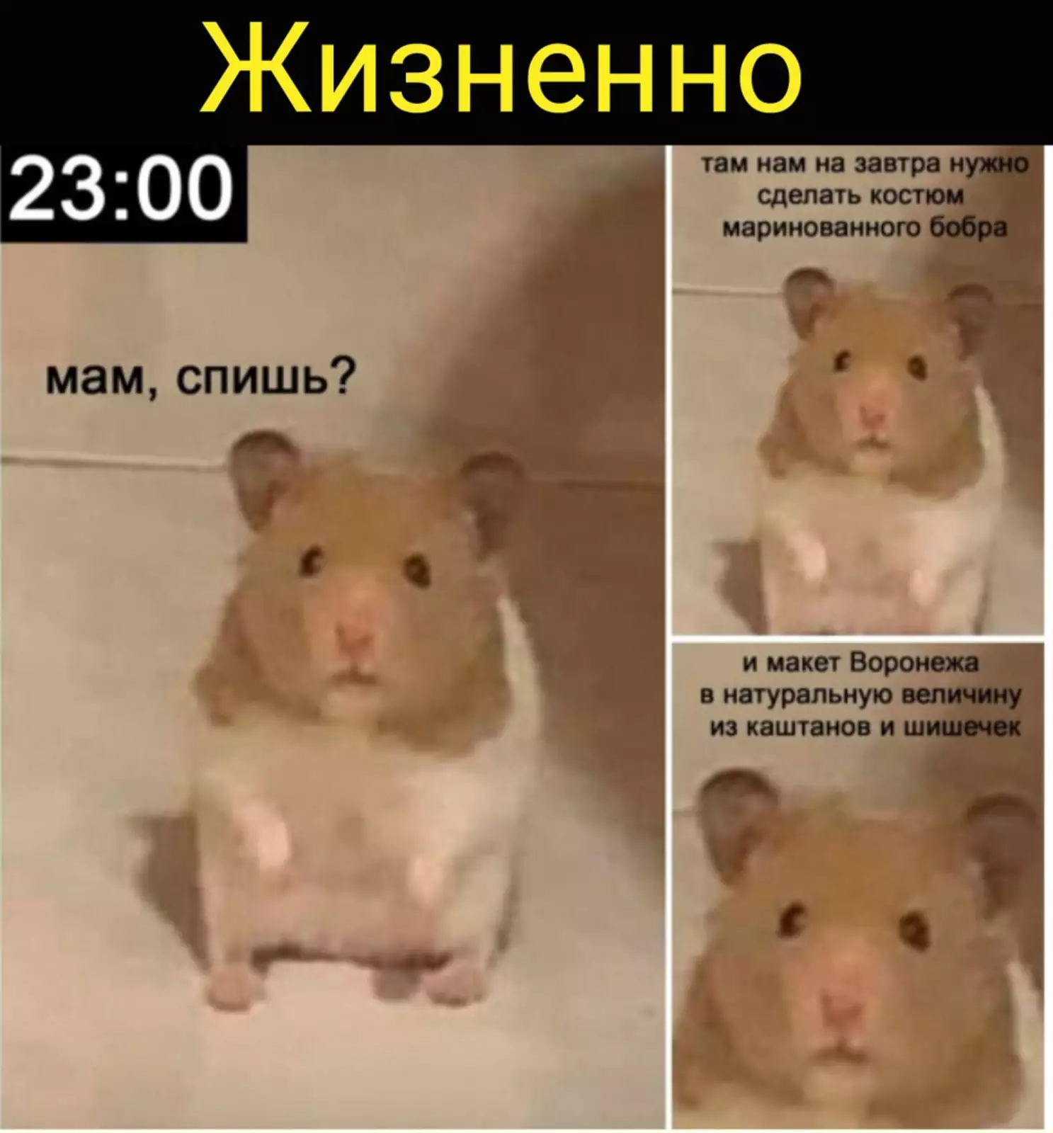 Но вспомнил я об этом только сейчас. Но вспомнил я об этом только сейчас.