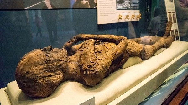 Не всем мумиям придавали одну форму. Если человек был королевских кровей, то его руки скрещивали на груди, если простолюдин, то конечности располагали вдоль туловища 