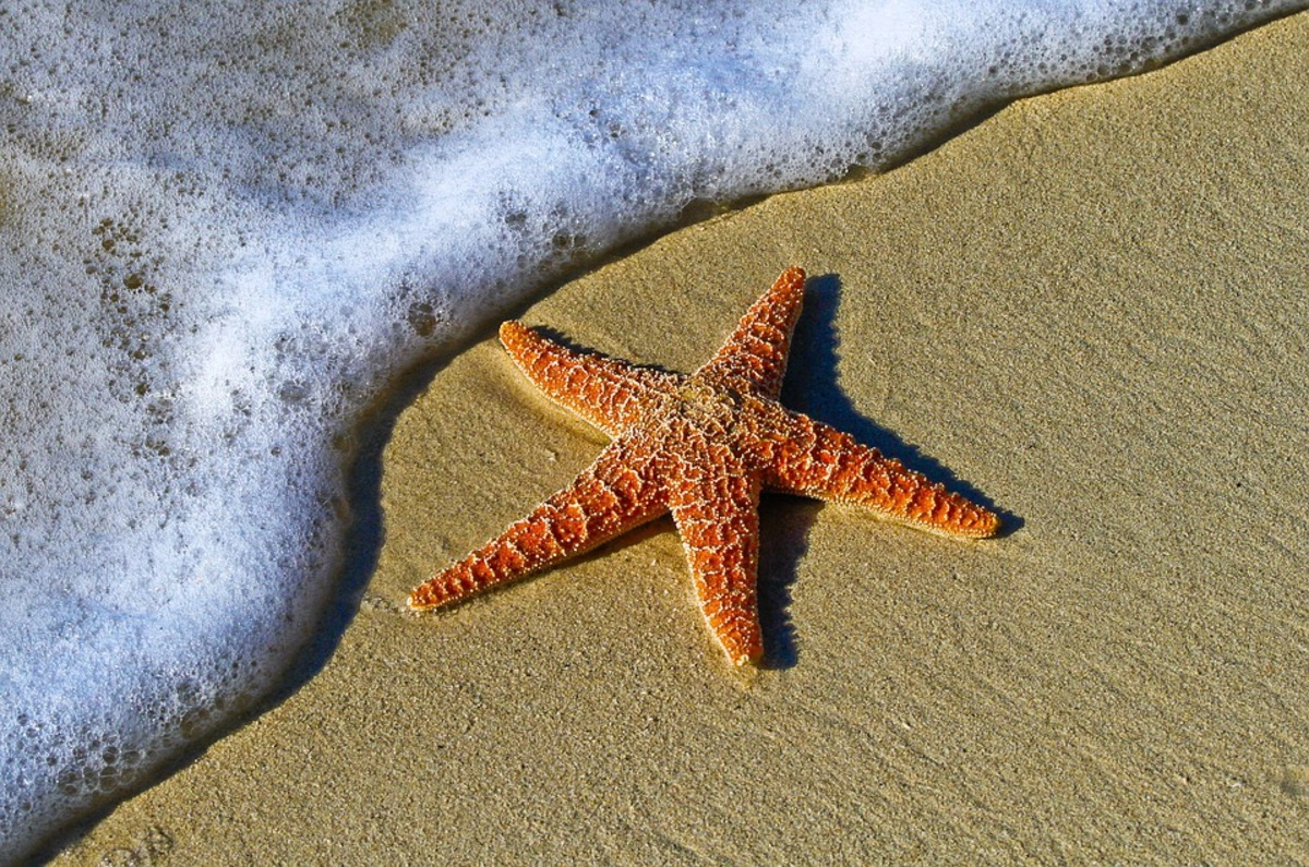 Море. © Pixabay.com