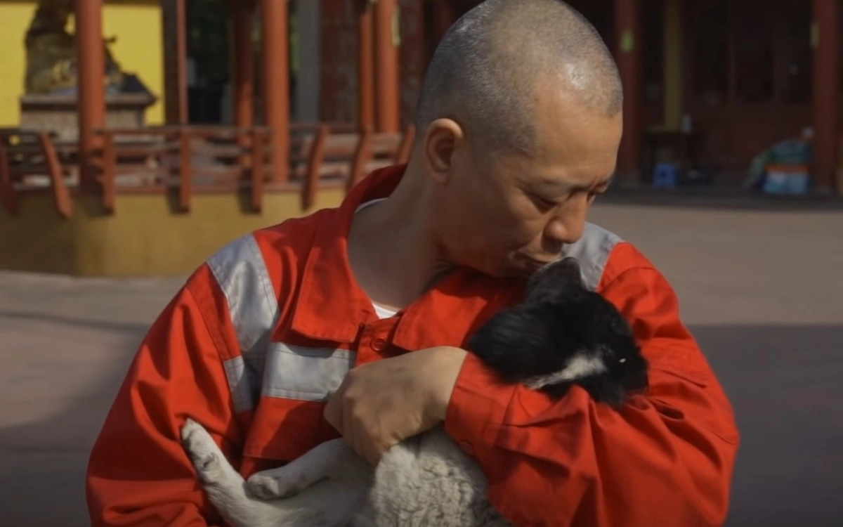 Монах заметил, что на улицах гораздо больше бездомных собак, чем кошек, поэтому он стал уделять их спасению почти все свое время