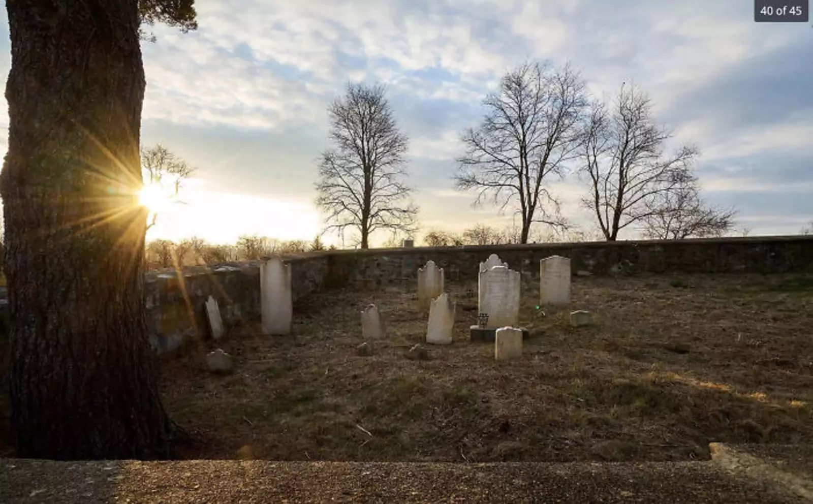 “На территории дома есть мини-кладбище». “На территории дома есть мини-кладбище».