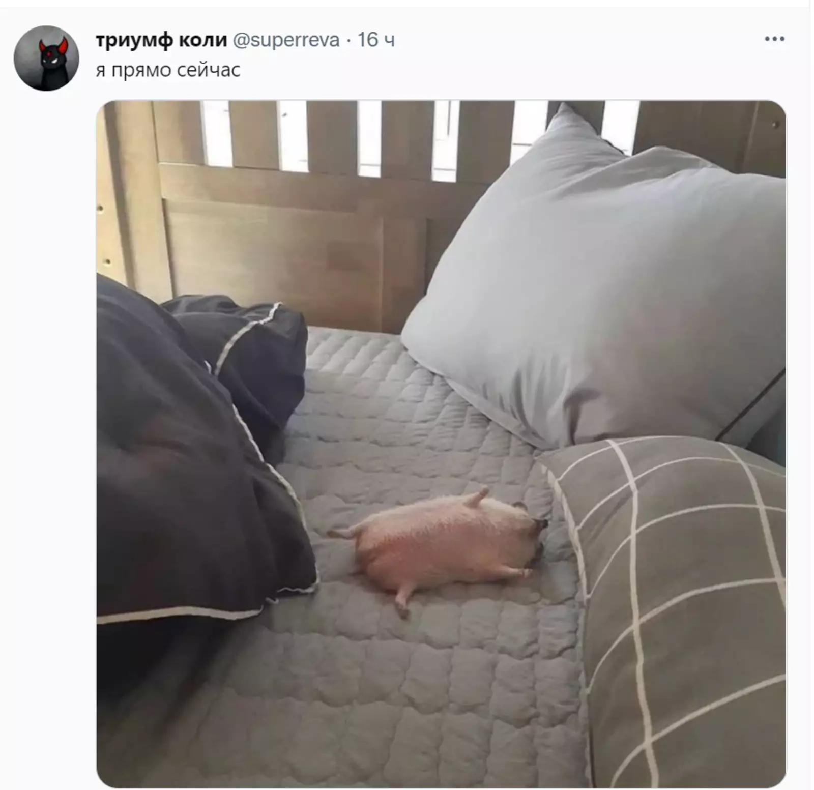 Это все мы. Это все мы.