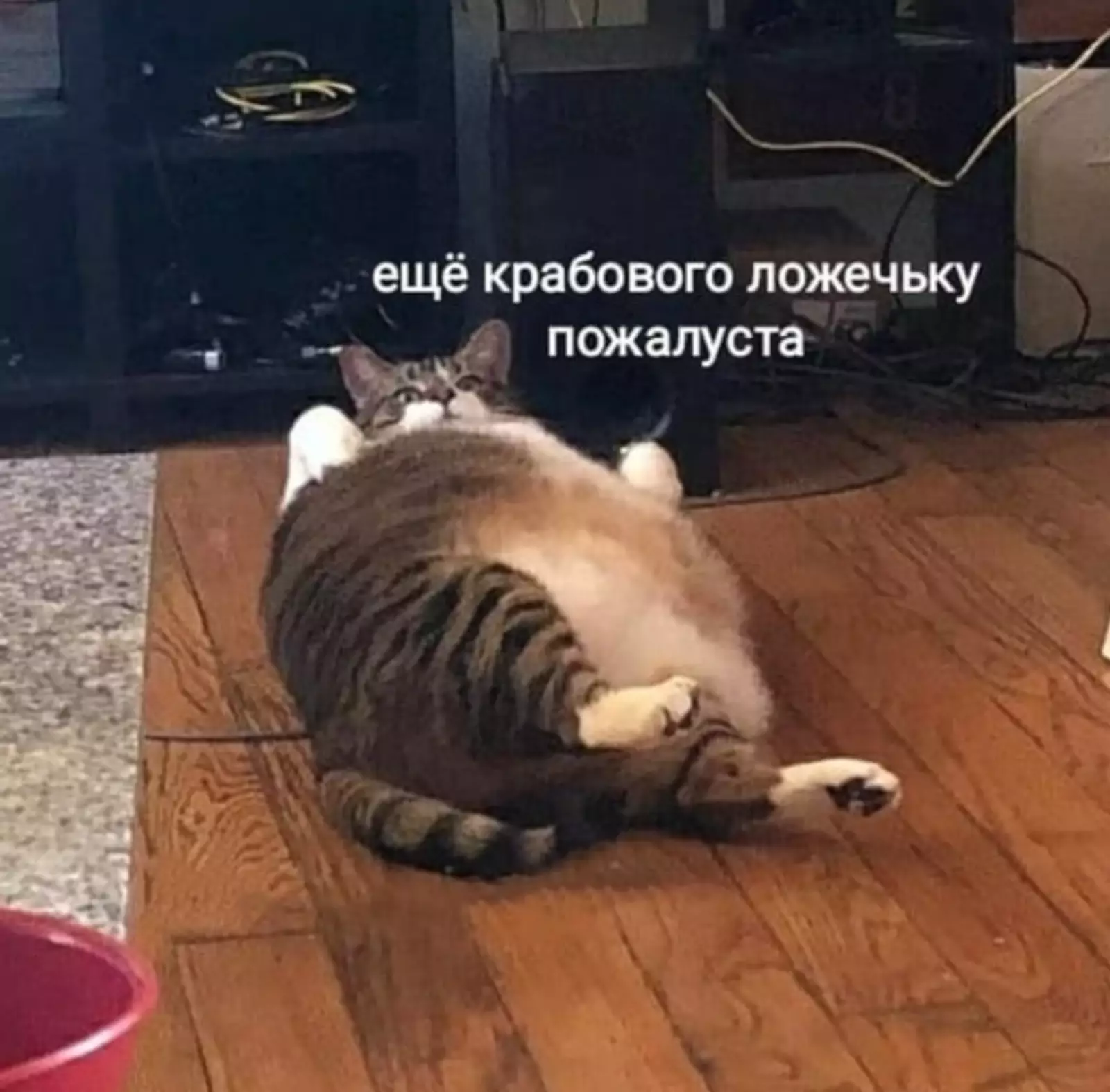 Знакомая картина. Знакомая картина.