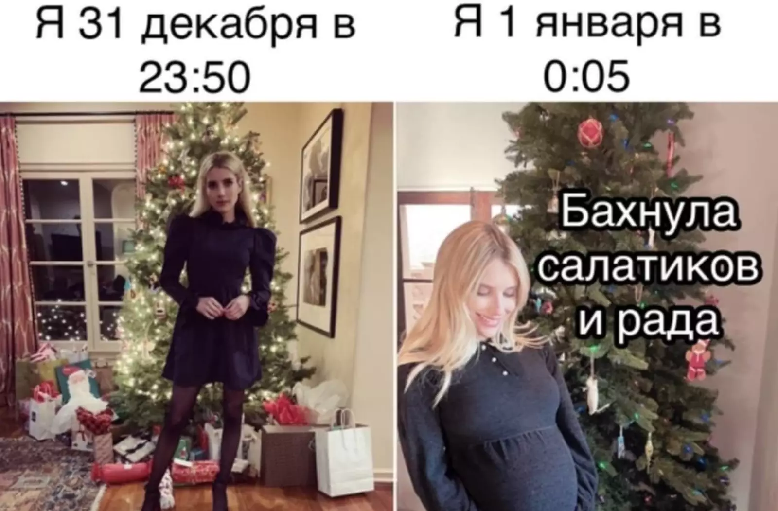 Когда беременна оливье. Когда беременна оливье.