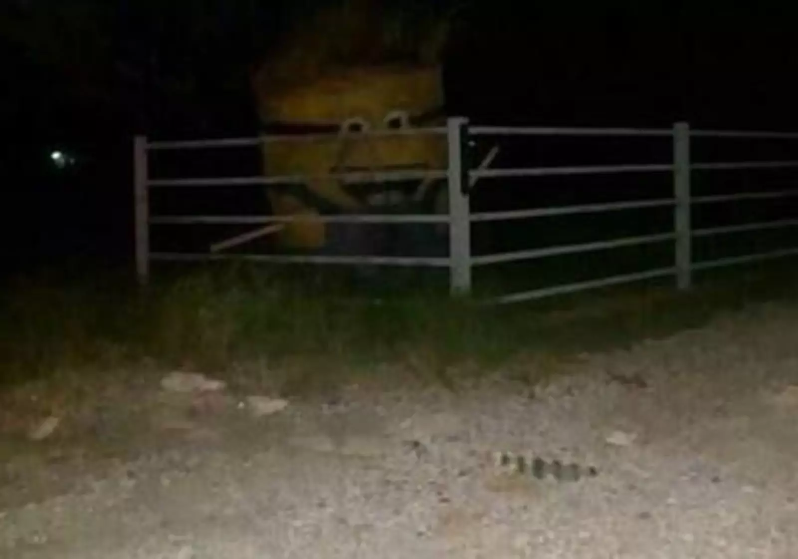 Миньон взаперти. Миньон взаперти.