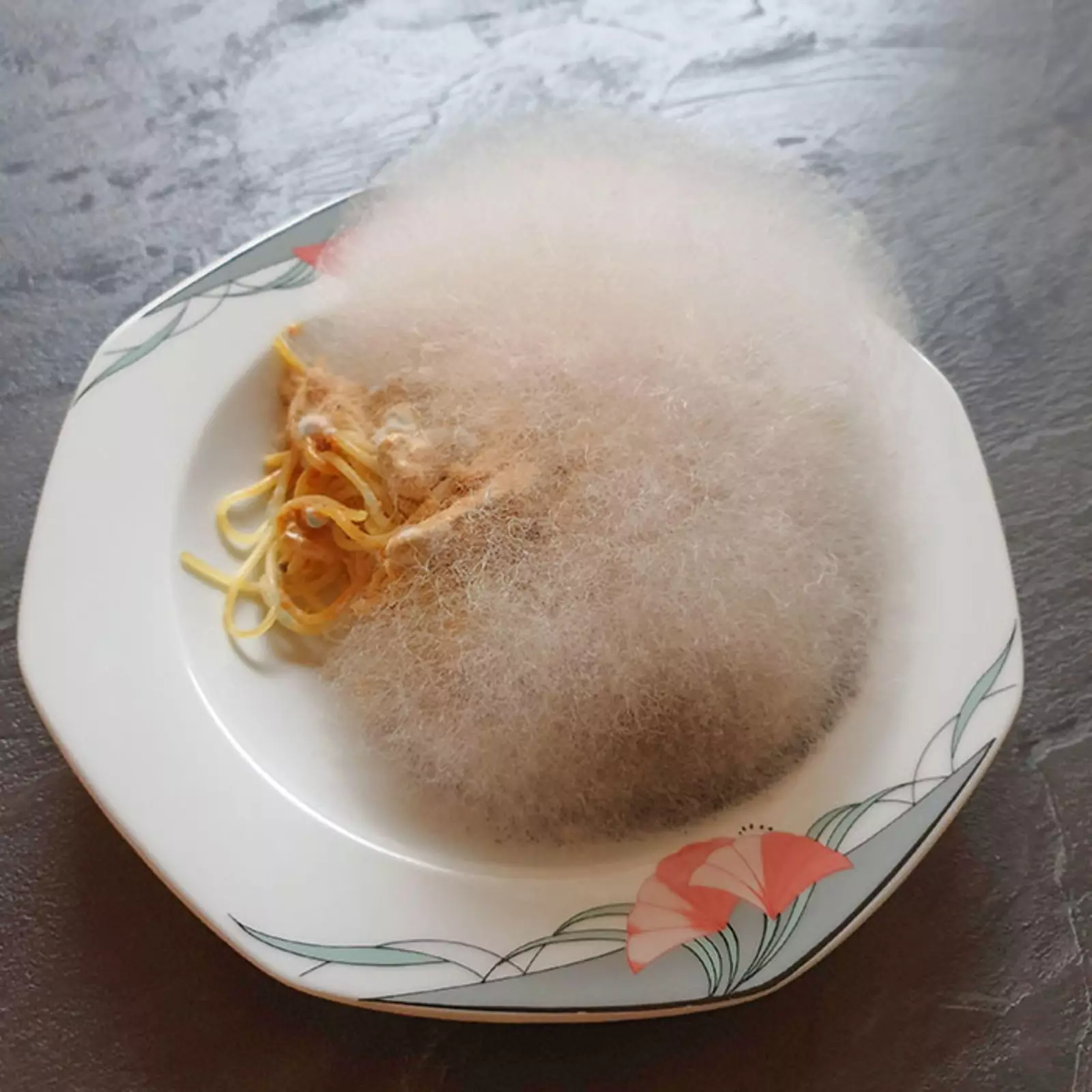 "Забыл спагетти с грибами в микроволновке на неделю. Теперь это пушистый шарик плесени".