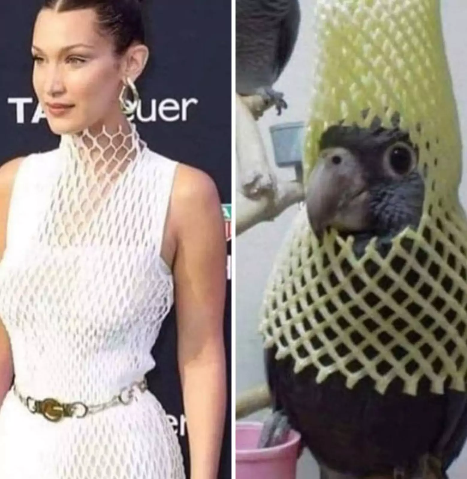 “Не вижу разницы». “Не вижу разницы».