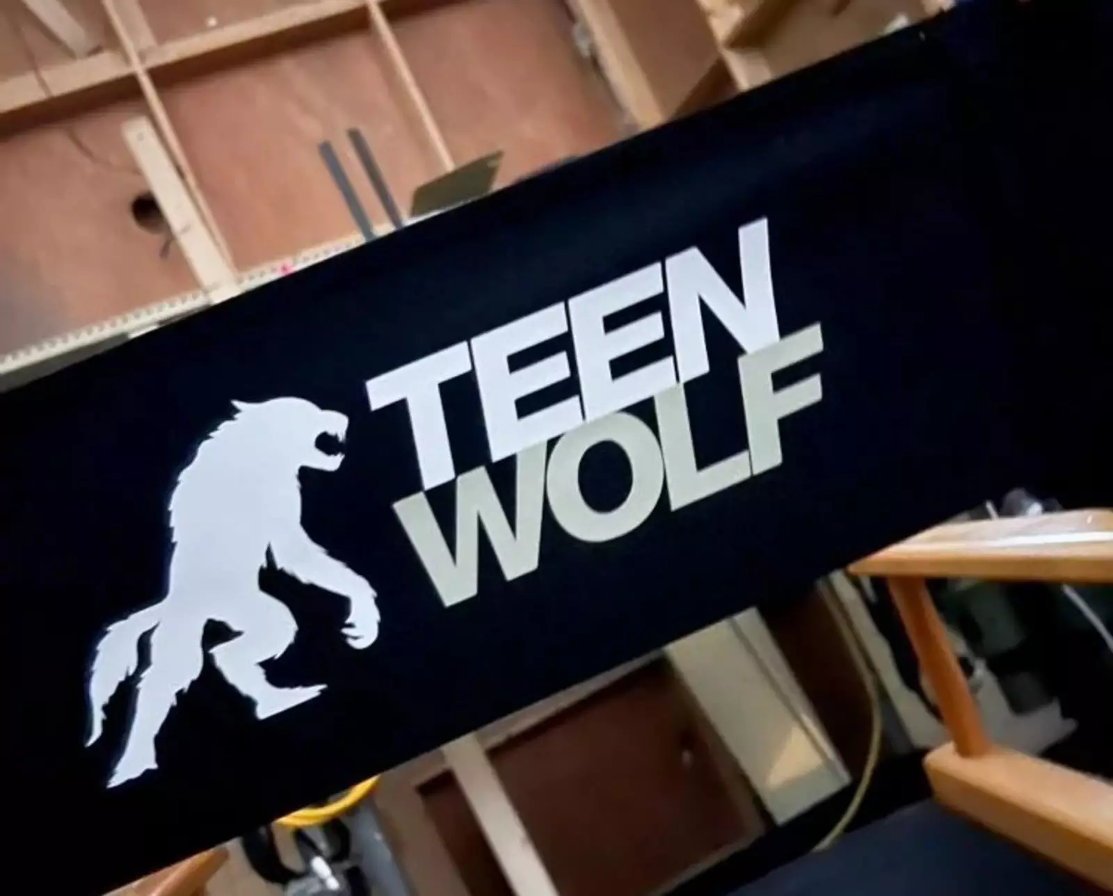 Новый логотип фильма включает в себя альфа-оборотня. Новый логотип фильма включает в себя альфа-оборотня.