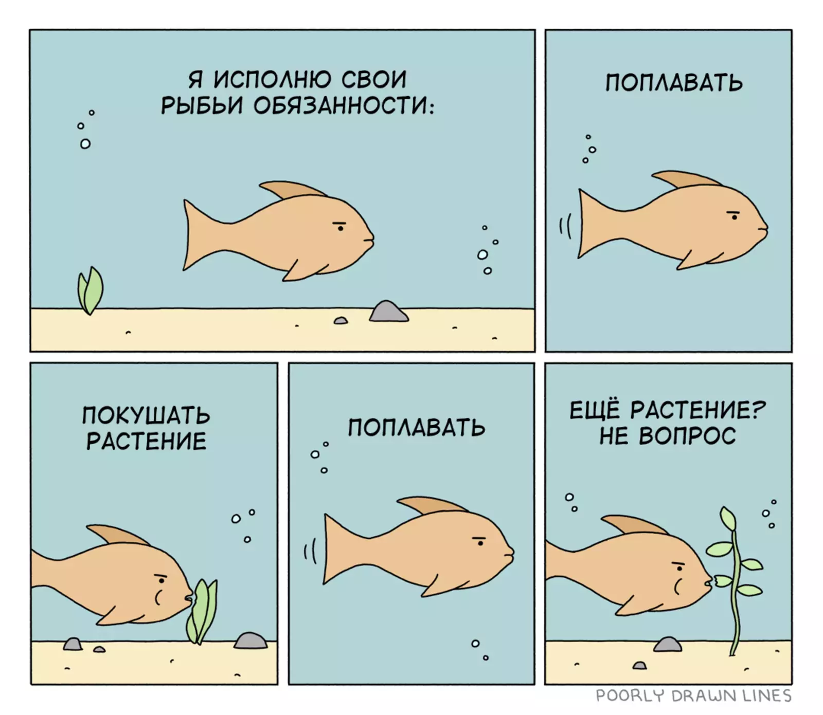 Рыбий досуг. Рыбий досуг.