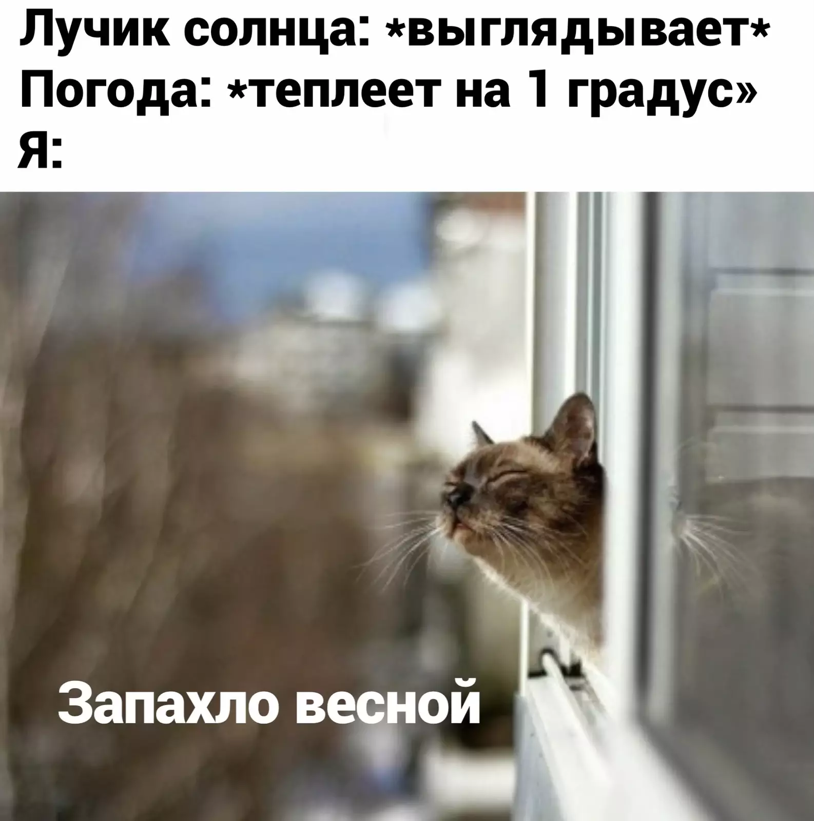 Наконец-то тепло. Наконец-то тепло.