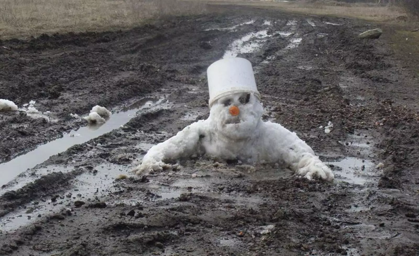 Бегите, глупцы. Бегите, глупцы.