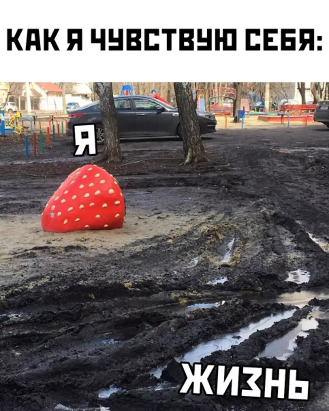 Весна 2022 года такая. Весна 2022 года такая.