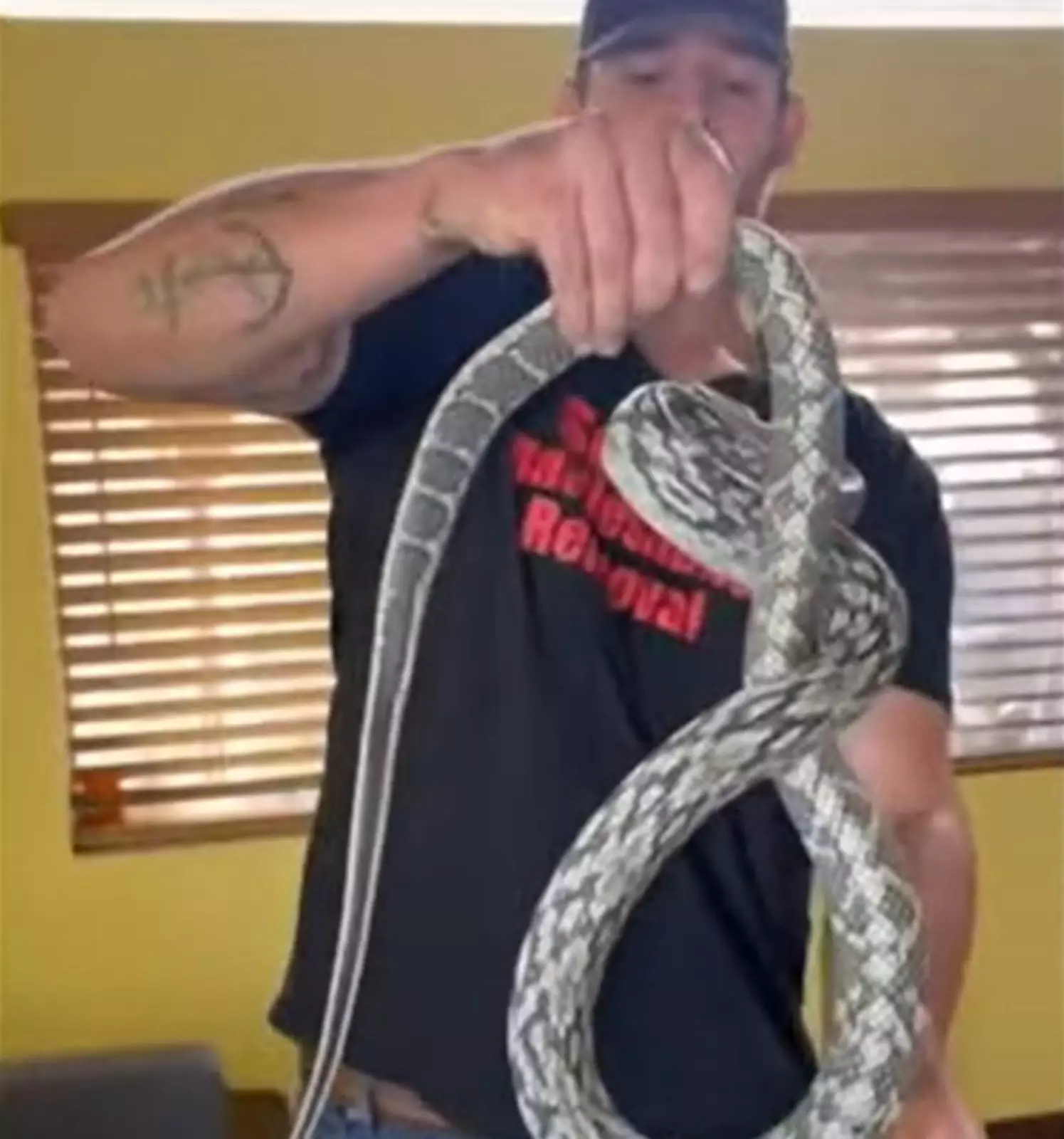 В конце концов зоологу удалось схватить двухметровую рептилию. В конце концов зоологу удалось схватить двухметровую рептилию.