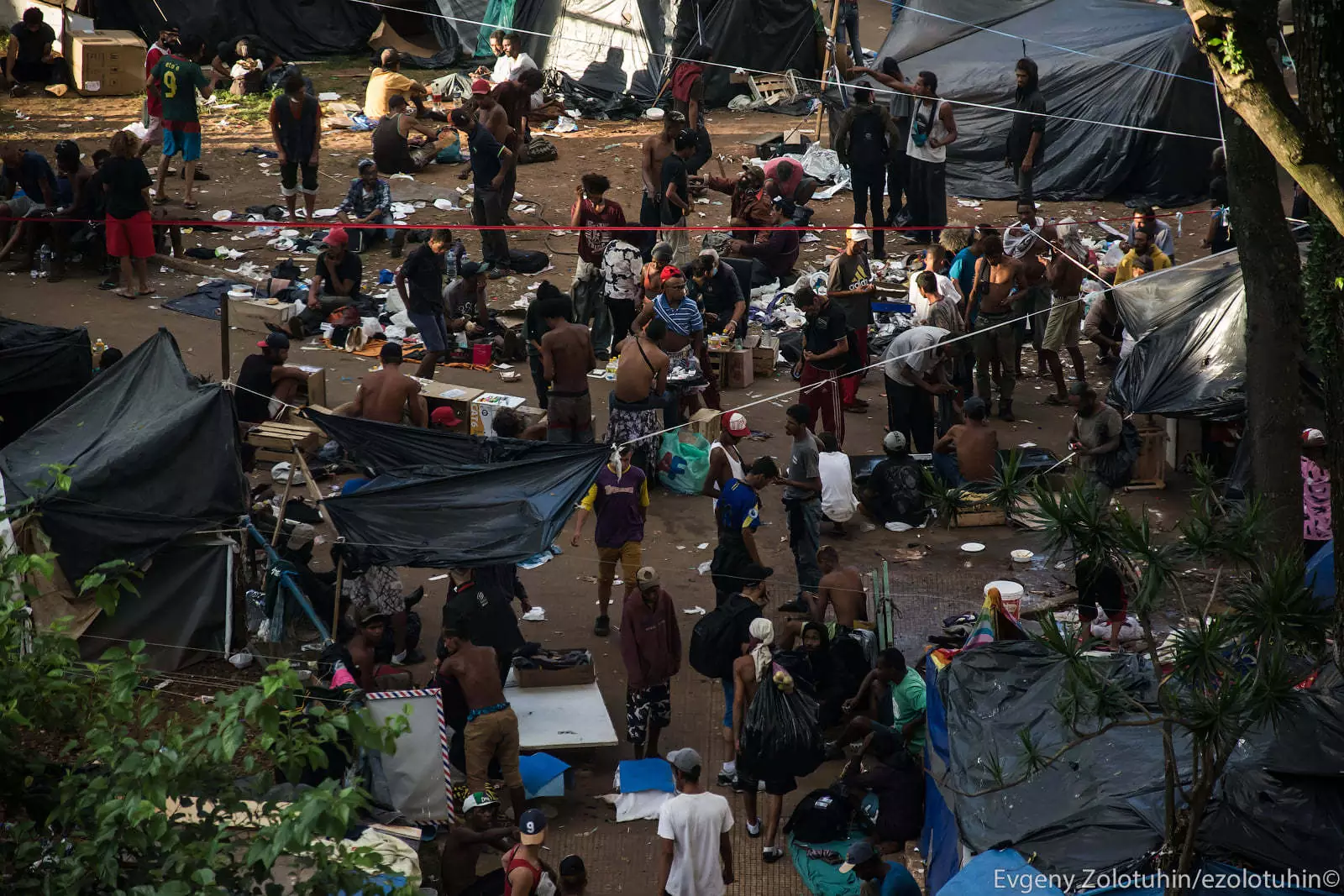 Кроколяндия Кроколяндия