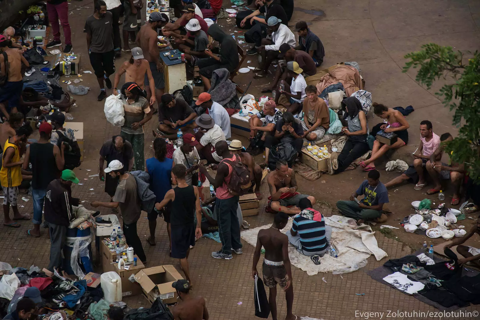 Кроколяндия Кроколяндия