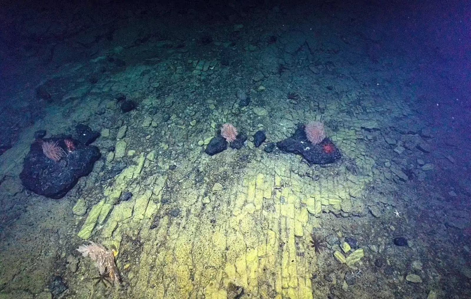 На всём пути исследовательская команда отобрала интересные геологические образцы. На всём пути исследовательская команда отобрала интересные геологические образцы.