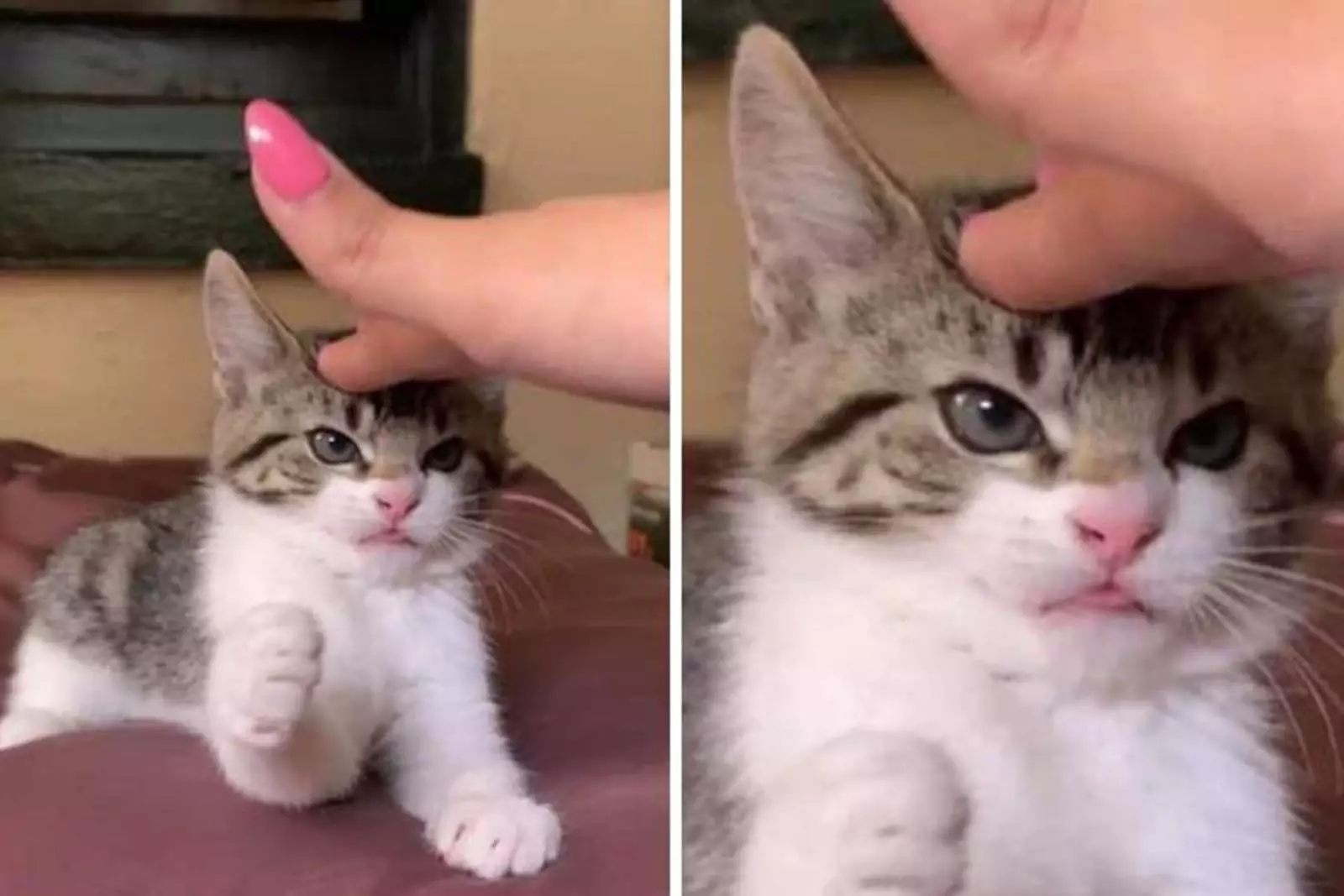 «Не трогай меня!» «Не трогай меня!»