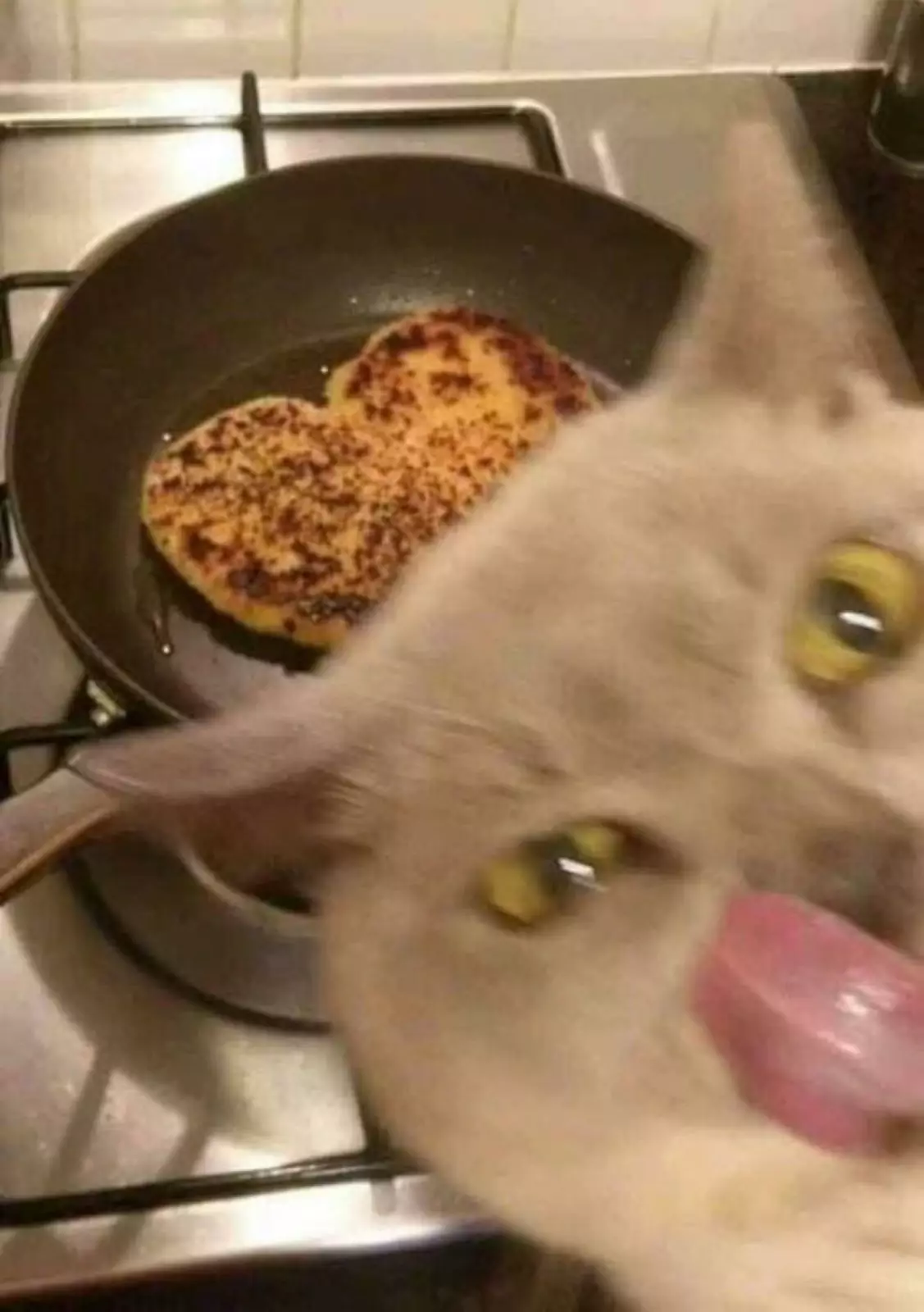 «Эта вкусняшка будет моей». «Эта вкусняшка будет моей».