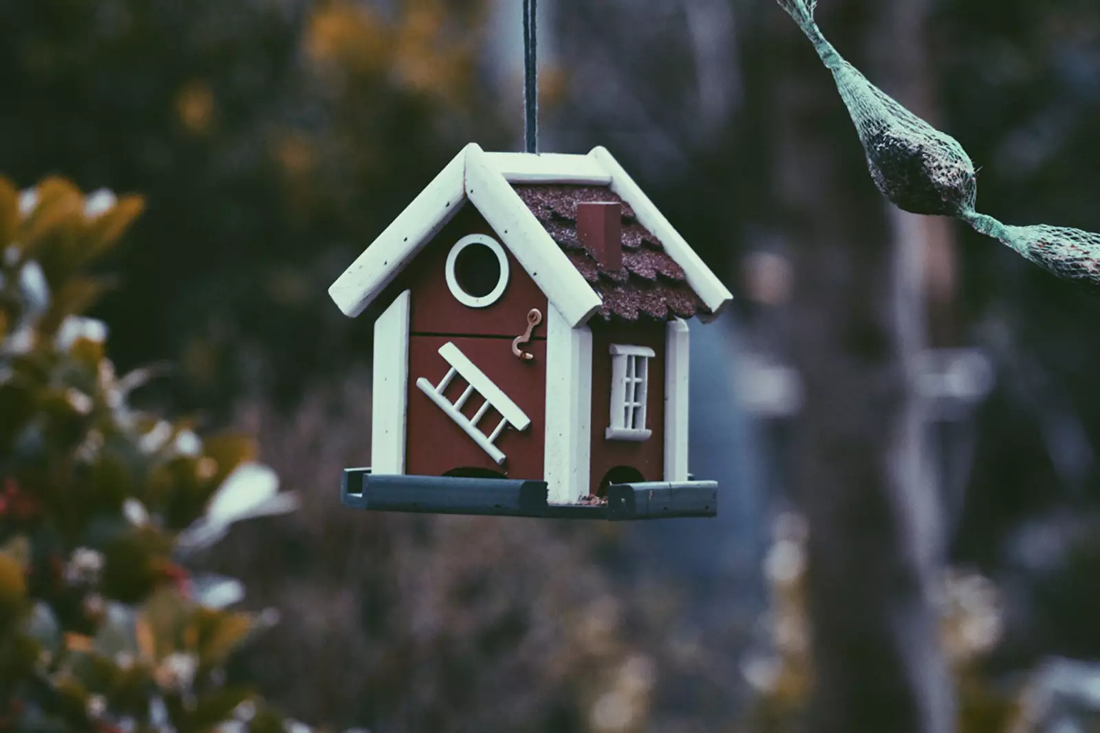 Недвижимость Недвижимость